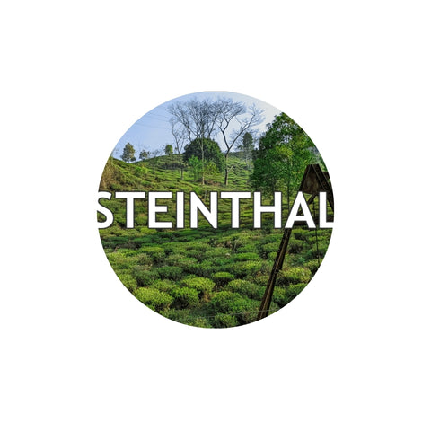 Flugtee Darjeeling Steinthal first flush DJ 0125