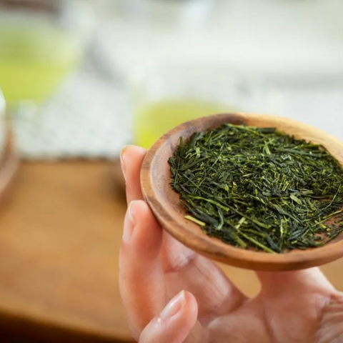 Japan Aracha Shincha 2025 BIO Grüntee Keiko Dquadrat