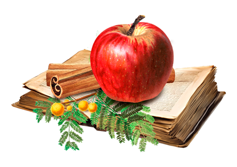 Apfel-Zimt-Kekse | Geschenkverpackung