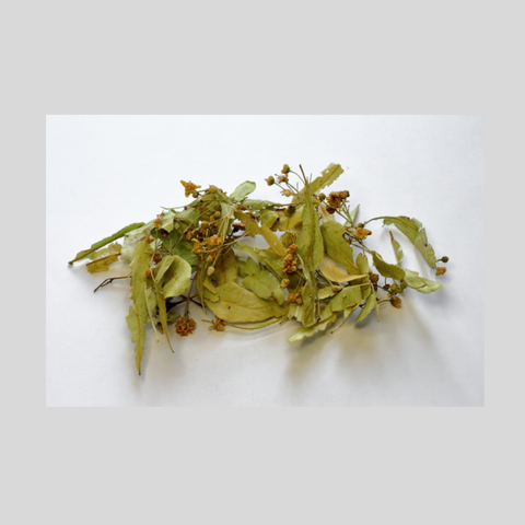 18530_Steinlindenblueten_ganz-Tee-und-Kraeutergalerie