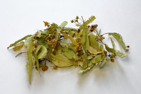 Steinlindenblüten, ganz | Kräutertee