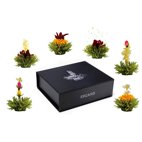 Creano | Magnetbox 6er ErblühTee | Grüntee | Geschenk - Tee- und Kraeutergalerie