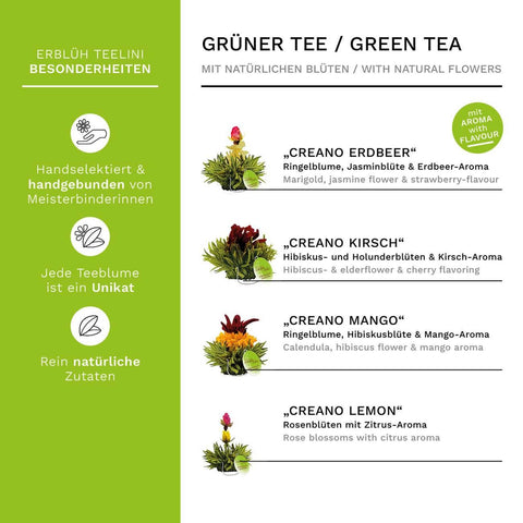 Creano | Teelini Teekiste 12 Stck. in 4 Sorten | Grüner Tee - Tee- und Kraeutergalerie