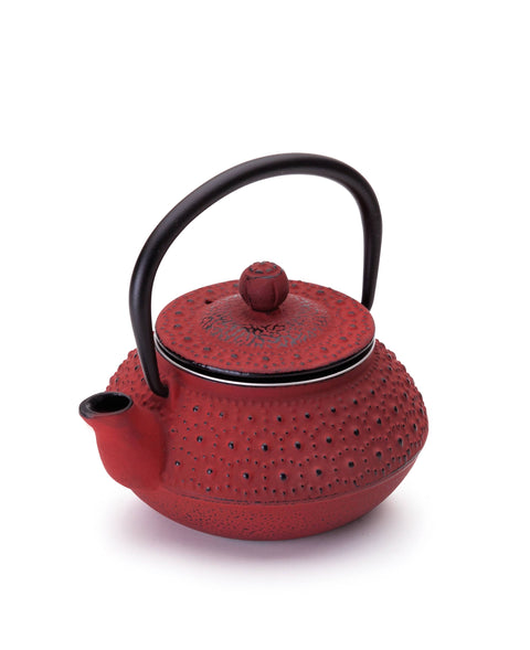 Teekanne Hanoi | Gusseisen | 0,3 Liter-Tee-und-Kraeutergalerie